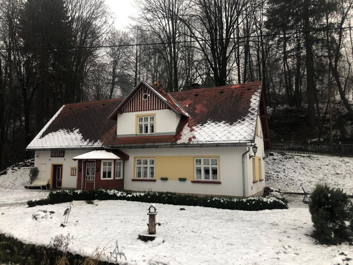 Adelle Cottage In Krkonose National Park Rudník Exteriér fotografie